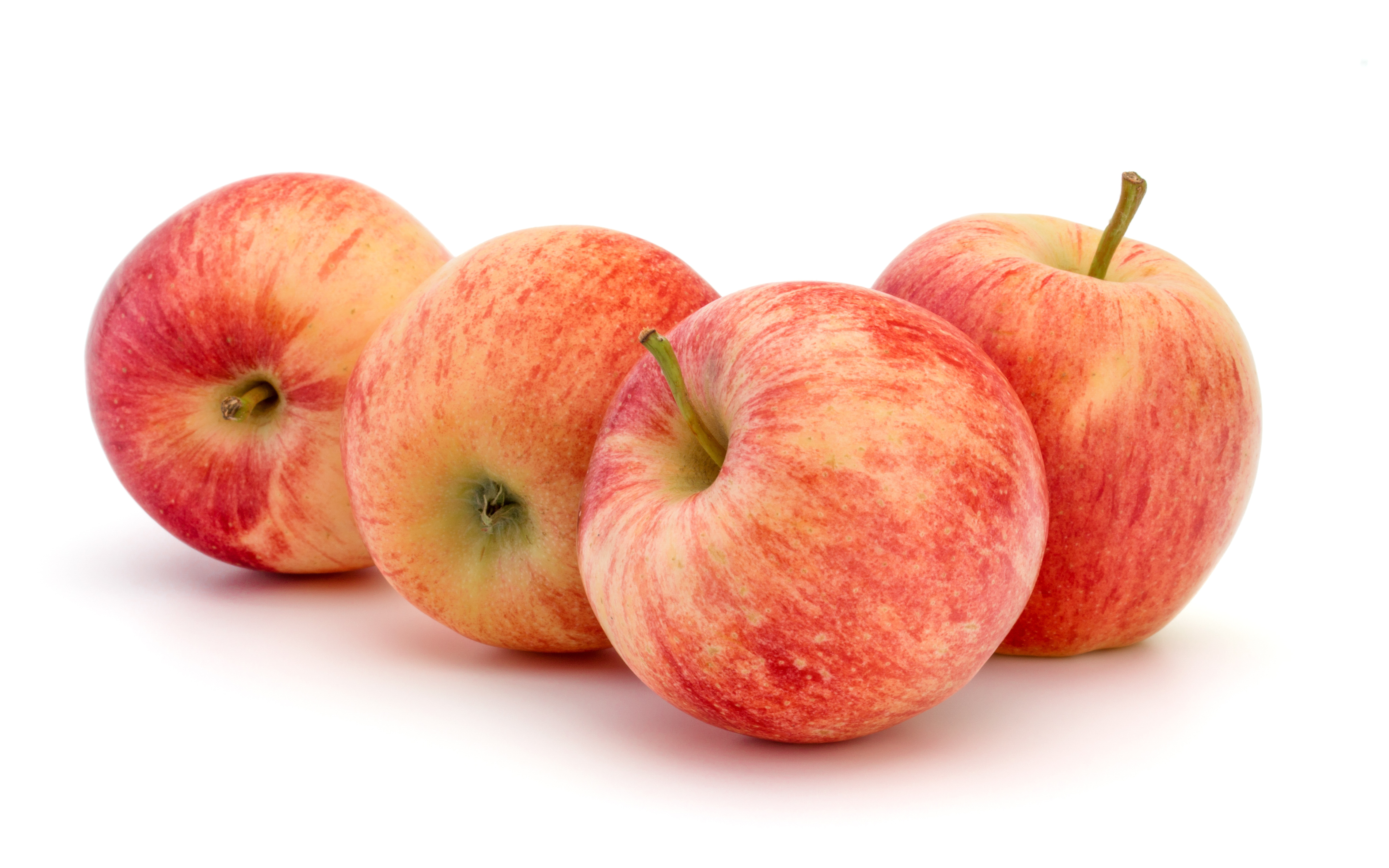 d7e265da14d5f2255afd75d16d8ad4d71721shutterstock526923982